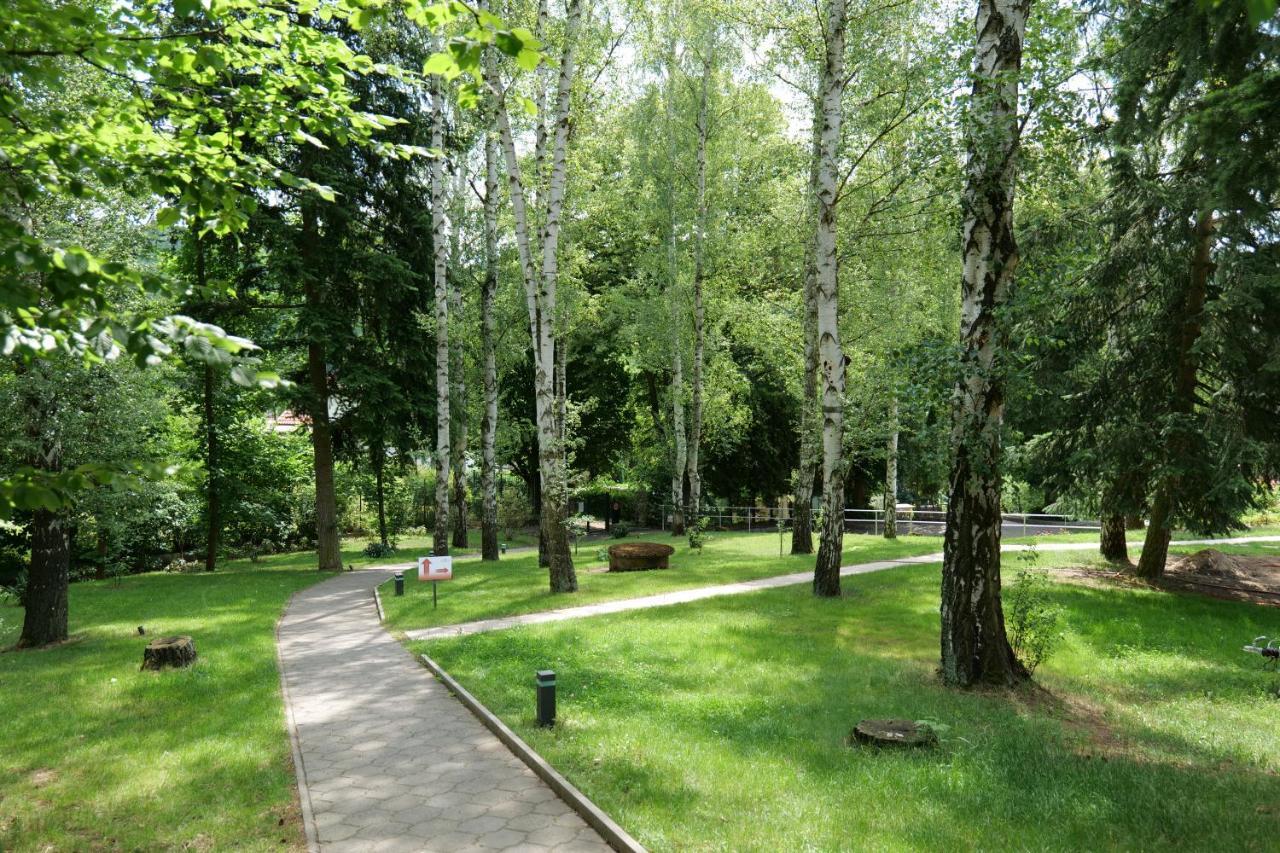 Ctyrkoly Penzion Harmony Javornik מראה חיצוני תמונה